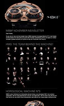 20.11.2008 Newsletter